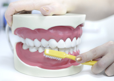 Periodontics
